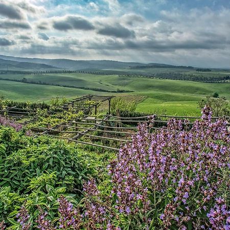 Agriturismo Le Tassinaie Castellina Marittima Kültér fotó