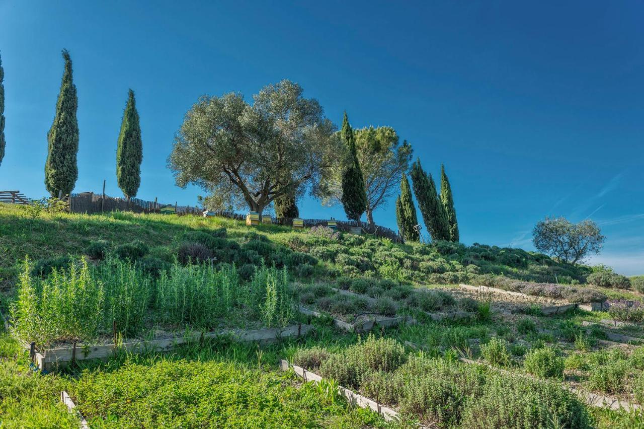 Agriturismo Le Tassinaie Castellina Marittima Kültér fotó