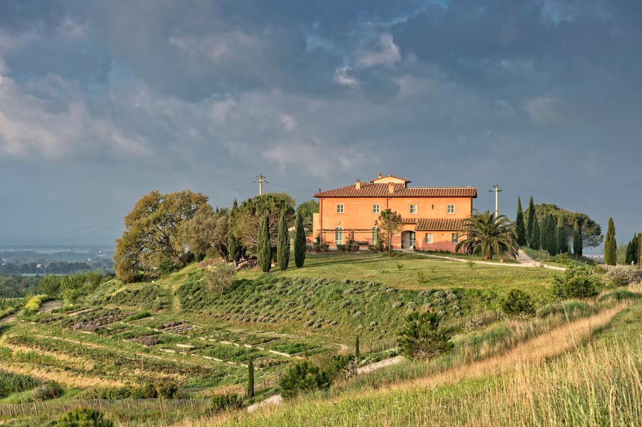 Agriturismo Le Tassinaie Castellina Marittima Kültér fotó