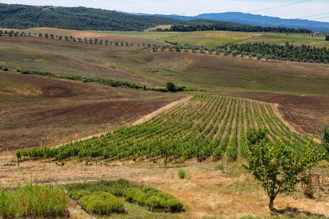 Agriturismo Le Tassinaie Castellina Marittima Kültér fotó