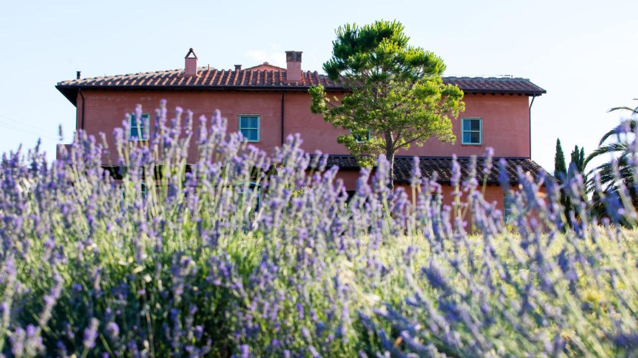 Agriturismo Le Tassinaie Castellina Marittima Kültér fotó