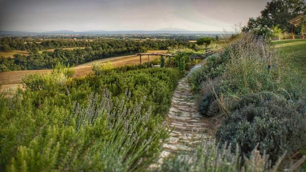 Agriturismo Le Tassinaie Castellina Marittima Kültér fotó