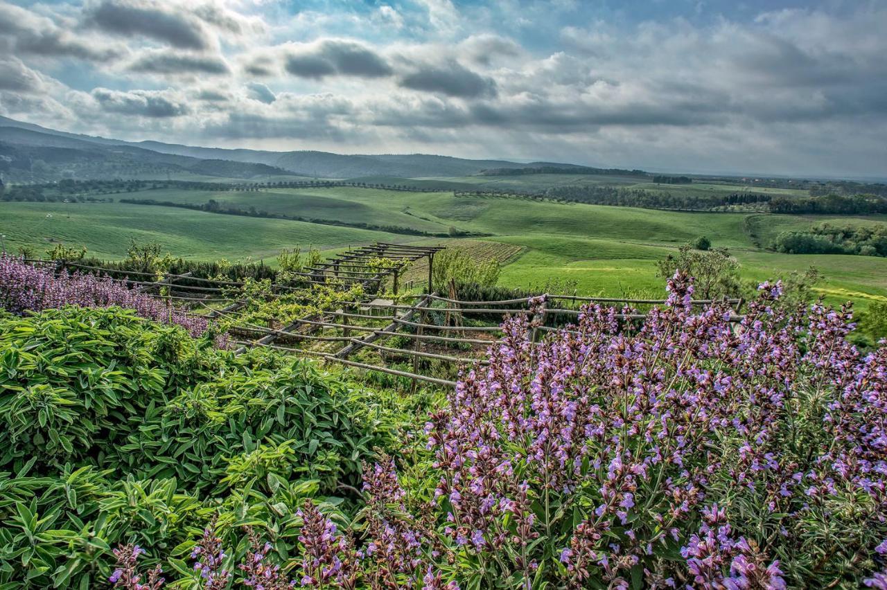 Agriturismo Le Tassinaie Castellina Marittima Kültér fotó